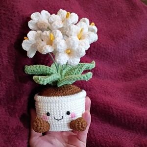 Crocheted Flower Pot with White Blooms